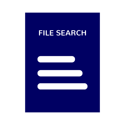 File Search